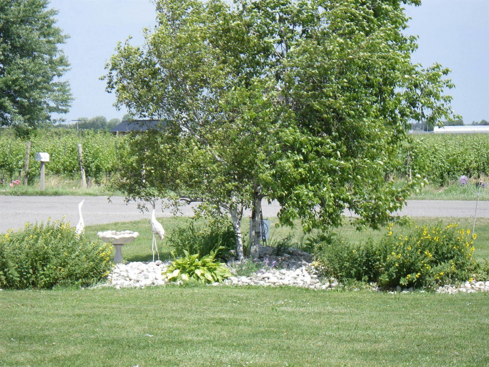 A Vineyard View Bed And Breakfast Niagara-on-the-Lake Bagian luar foto