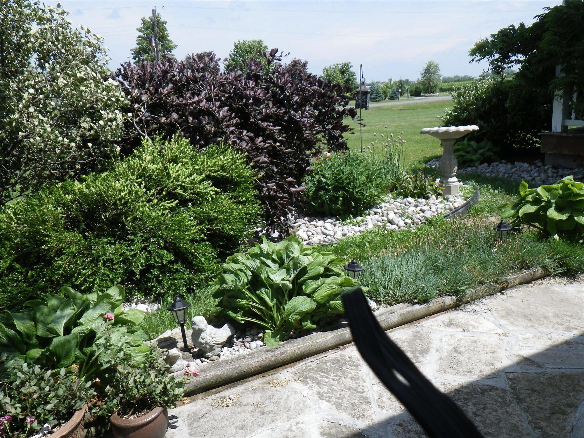 A Vineyard View Bed And Breakfast Niagara-on-the-Lake Bagian luar foto